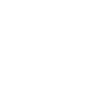 Logo IDF ORSAY