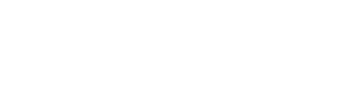 Logo IDSOFT (TOPINVEST)