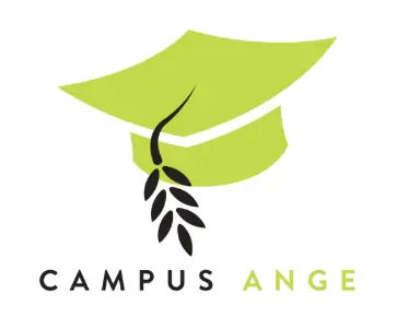 Logo IDYIE