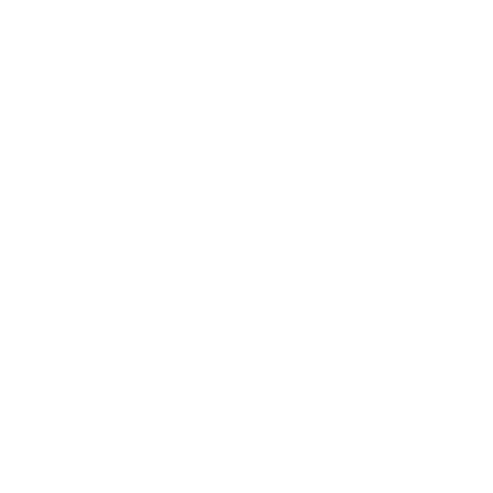 Logo IL DIVINO