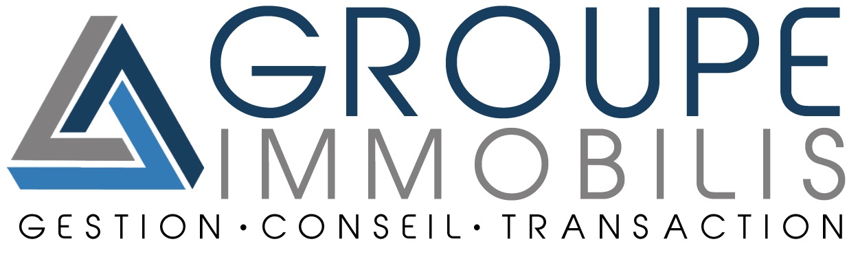 Logo IMMO GROUPE