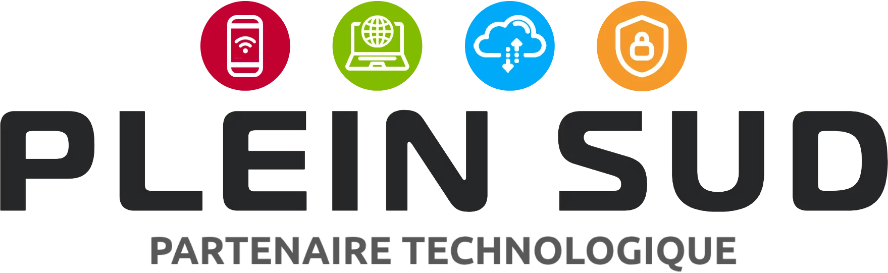 Logo IN SITU CONSEIL ET INFORMATIQUE (PLEIN SUD I.T (PS IT))