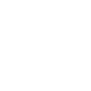 Logo INAVEO