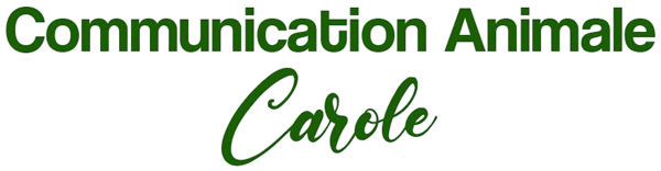 Logo INFORMAT COMMUNICAT ANIMAT REALISAT ETUD (ICARE)