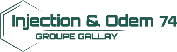 Logo INJECTION 74 (INJECTION 74)