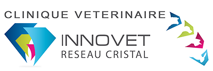 Logo INNOVET