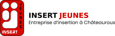 Logo INSERT-JEUNES