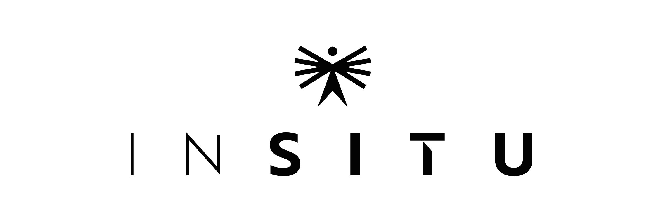 Logo INSITU-A