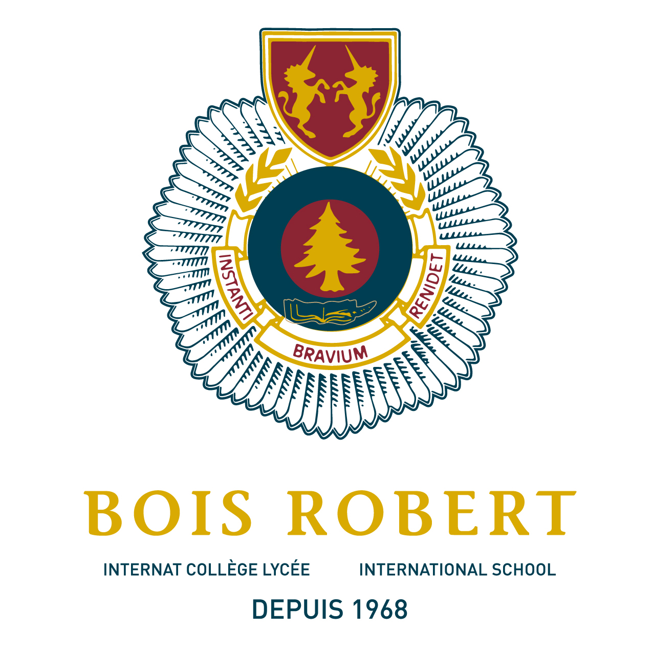 Logo INSTITUT BOIS ROBERT