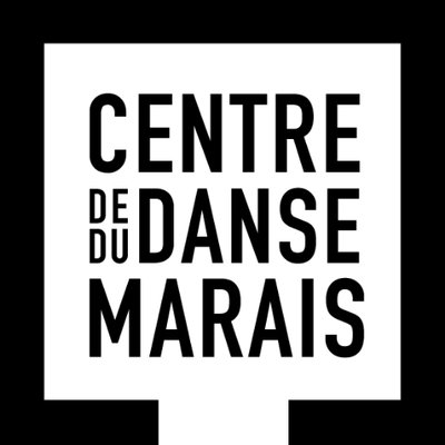 Logo INSTITUT DANSE FORMATION PROFESSIONNELLE