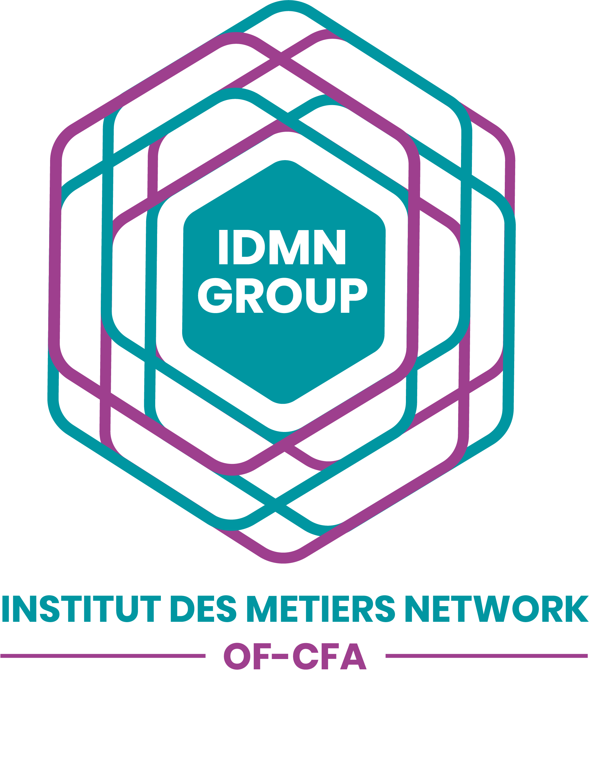 Logo INSTITUT DES METIERS NETWORK
