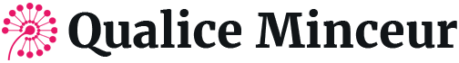 Logo INSTITUT QUALICE MINCEUR