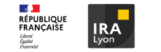 Logo INSTITUT REGIONAL D'ADMINISTRATION (IRA)