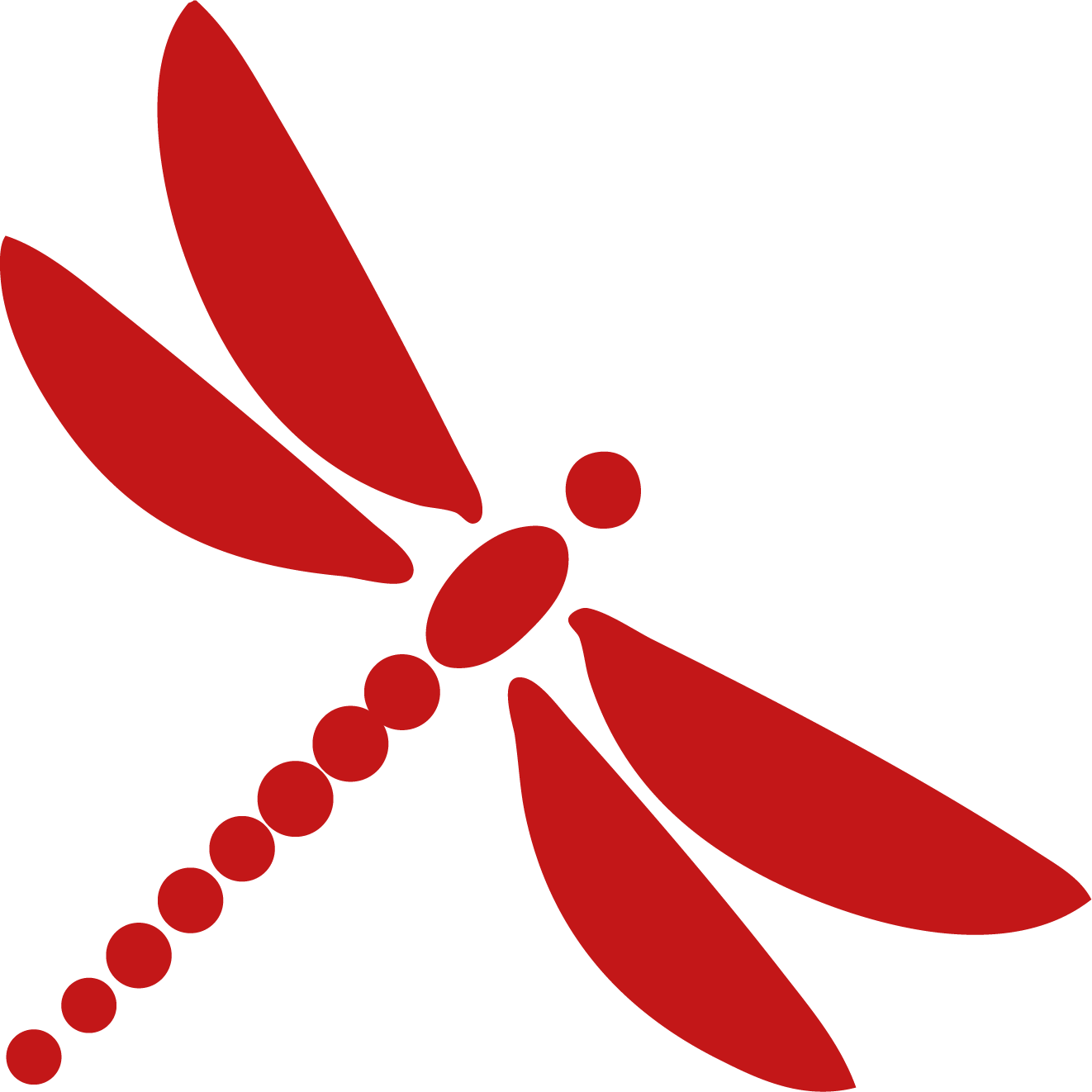 Logo INTRINSEC SECURITE