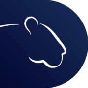 Logo IRBIS SOLUTIONS