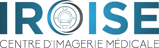 Logo IROISE