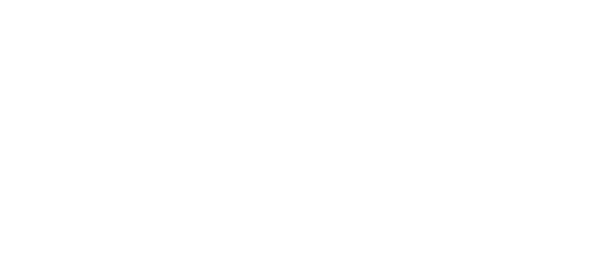 Logo ISO SECURITE
