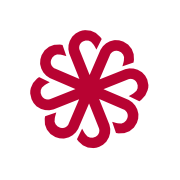 Logo JANUS ENGINEERING PARIS