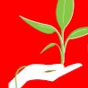 Logo JARDIN DU SUD