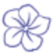 Logo JASMIN CAPITAL