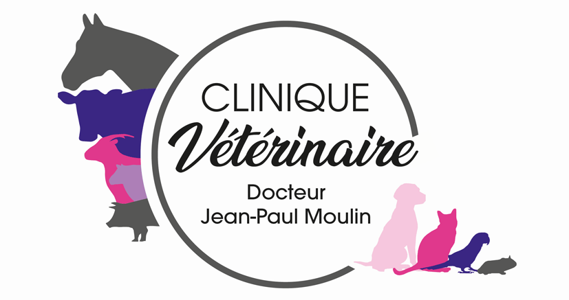 Logo JEAN-PAUL MOULIN