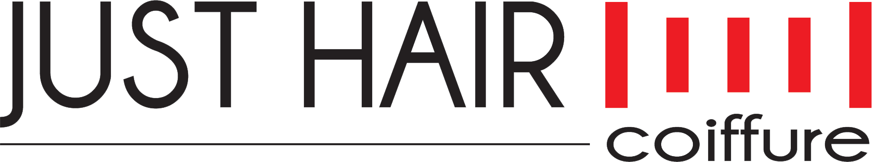 Logo JUST HAIR CAZAN