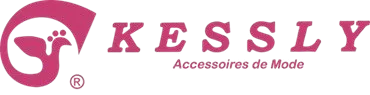 Logo KESSLY