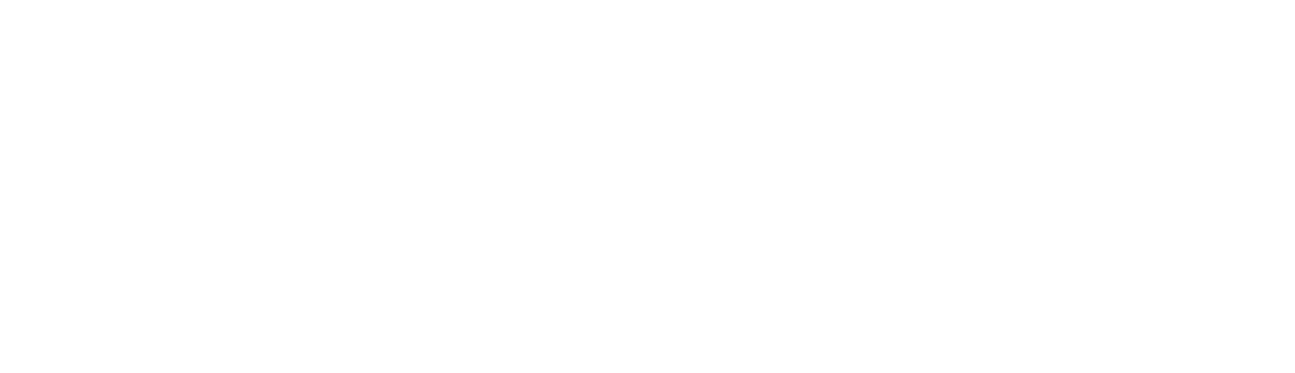 Logo KIS
