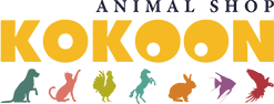 Logo KOKOON