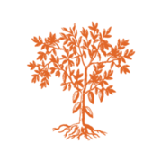 Logo L'ARTISAN CHOCOLATIER