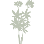 Logo L'ASPERULE. D (L'ASPERULE. D)
