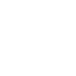 Logo L.E.S