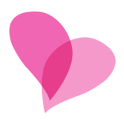 Logo LA BOITE ROSE