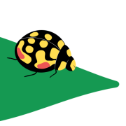 Logo LA COCCINELLE