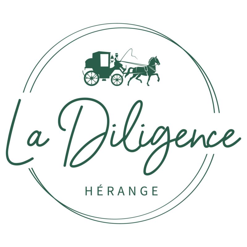 Logo LA DILIGENCE