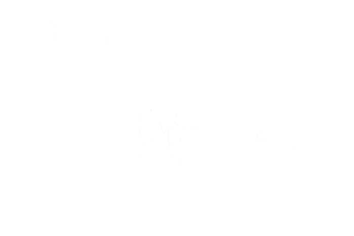 Logo LA NEUVILLE