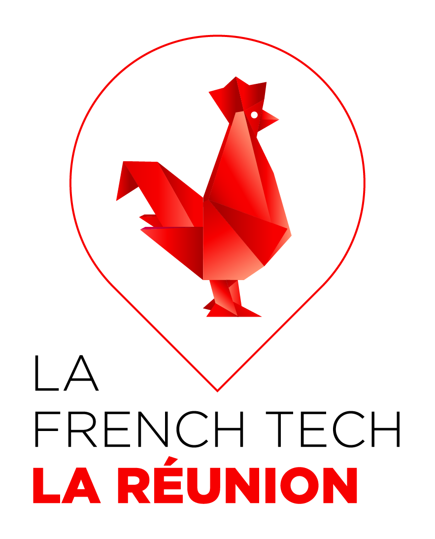 Logo LA REUNION DEVELOPPEMENT