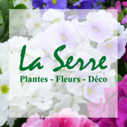 Logo LA SERRE THIONVILLE