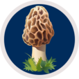 Logo LA TAVERNE