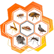 Logo LABORATOIRE SUBLIMM 97-4