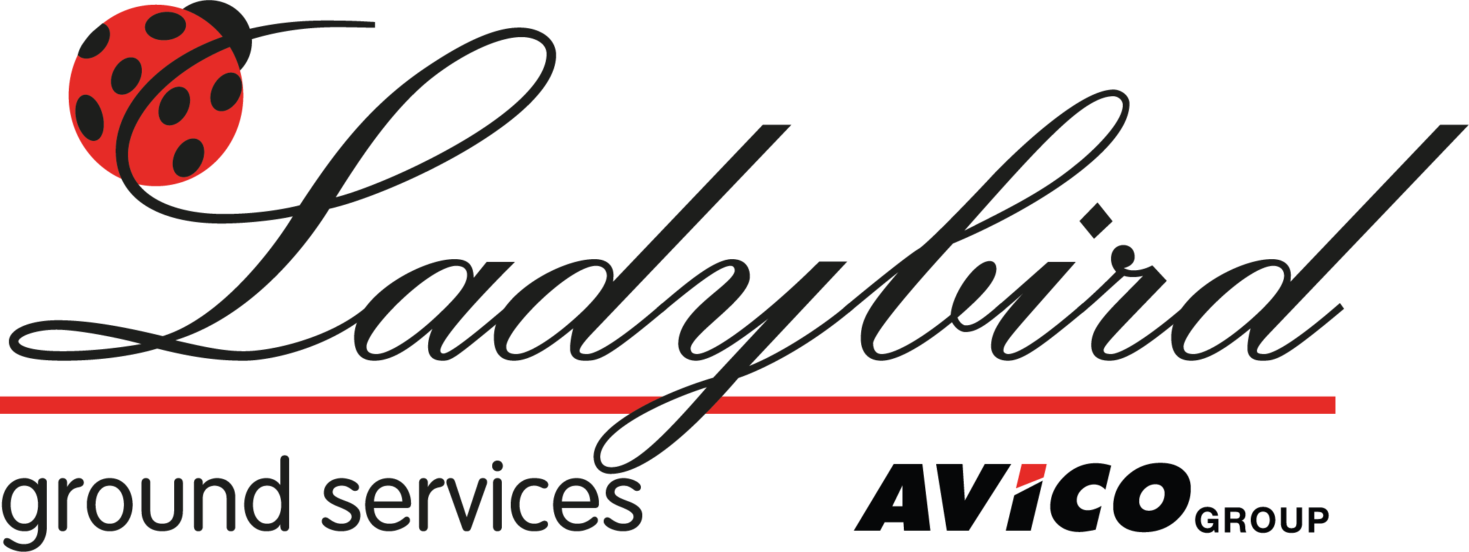 Logo LADYBIRD AIR SERVICES