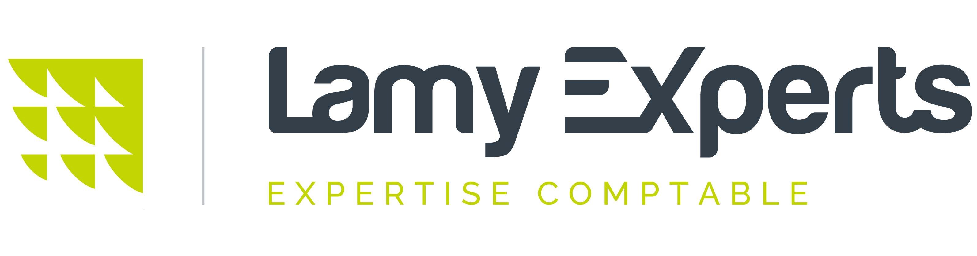 Logo LAMY EXPERTS