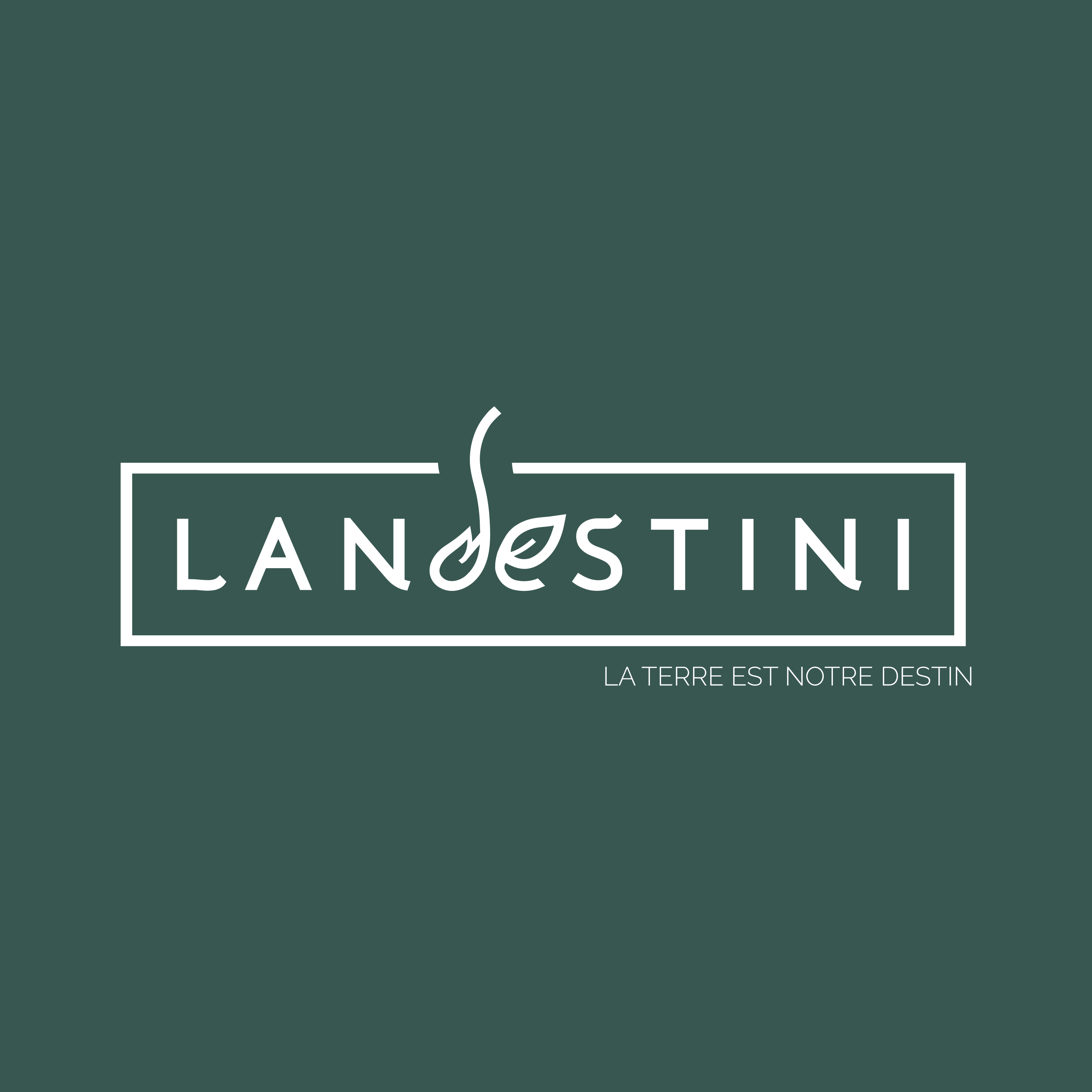 Logo LANDESTINI