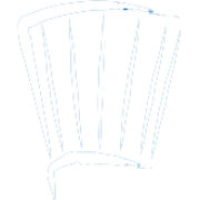 Logo LANEF PRO