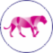 Logo LAURALBA CONSEIL