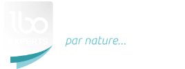 Logo LBO EXPERTS