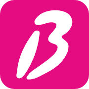Logo LE BAISER SALE
