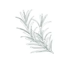Logo LE BOUQUET GARNI