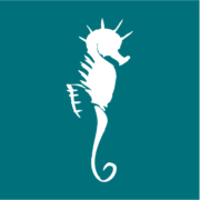 Logo LE CALYPSO (LE CALYPSO)