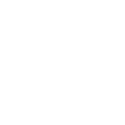 Logo LE CASTING (GRAIN DE SEL)